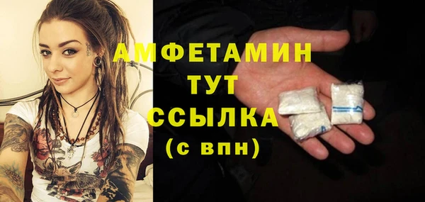 дживик Инта
