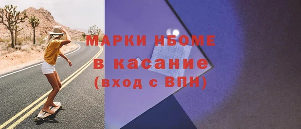 дживик Инта