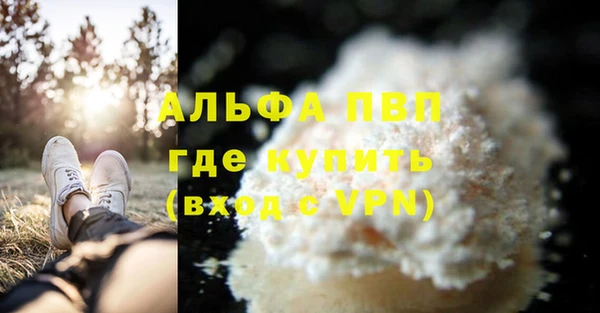 PSILOCYBIN Инсар