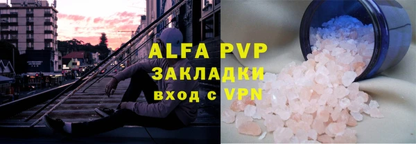 дживик Инта