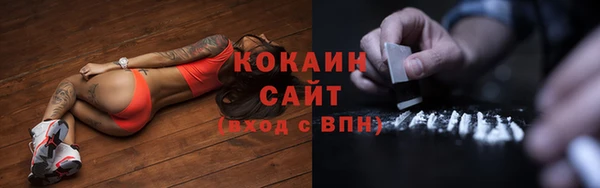 PSILOCYBIN Инсар