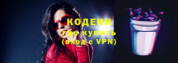дживик Инта