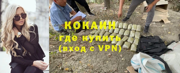 дживик Инта