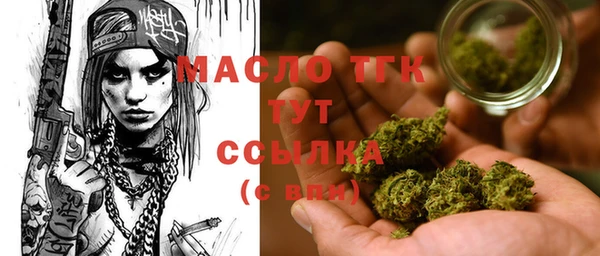 дживик Инта