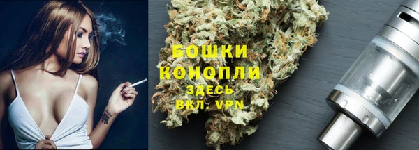 дживик Инта